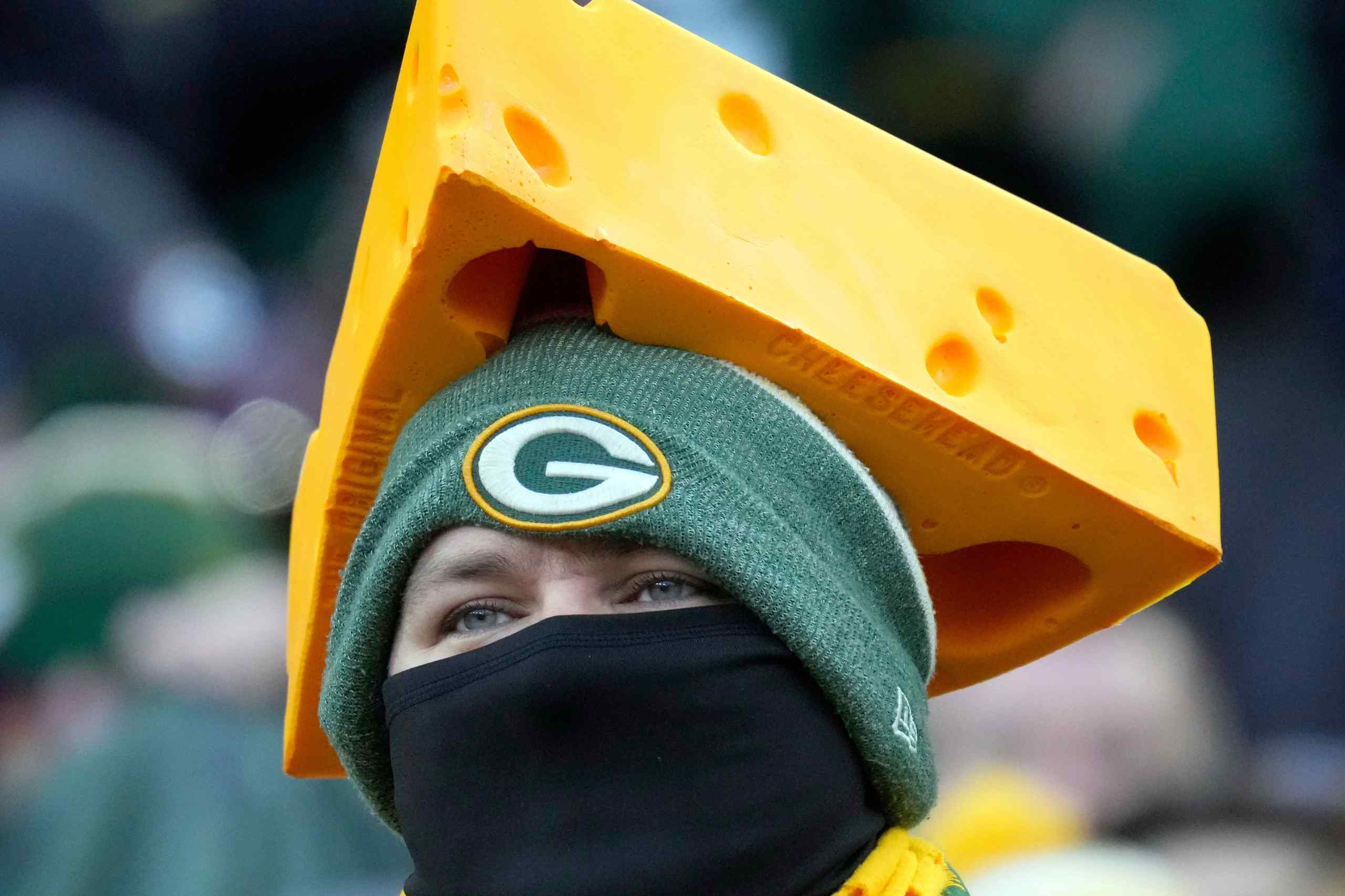 Green Bay Packers fan wearing a cheesehead